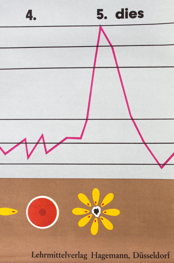 Wall poster of the school from Jung-Koch-Quentell "mosquito" 1972