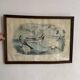 Large framed antique zoological engraving "The Washerwoman"