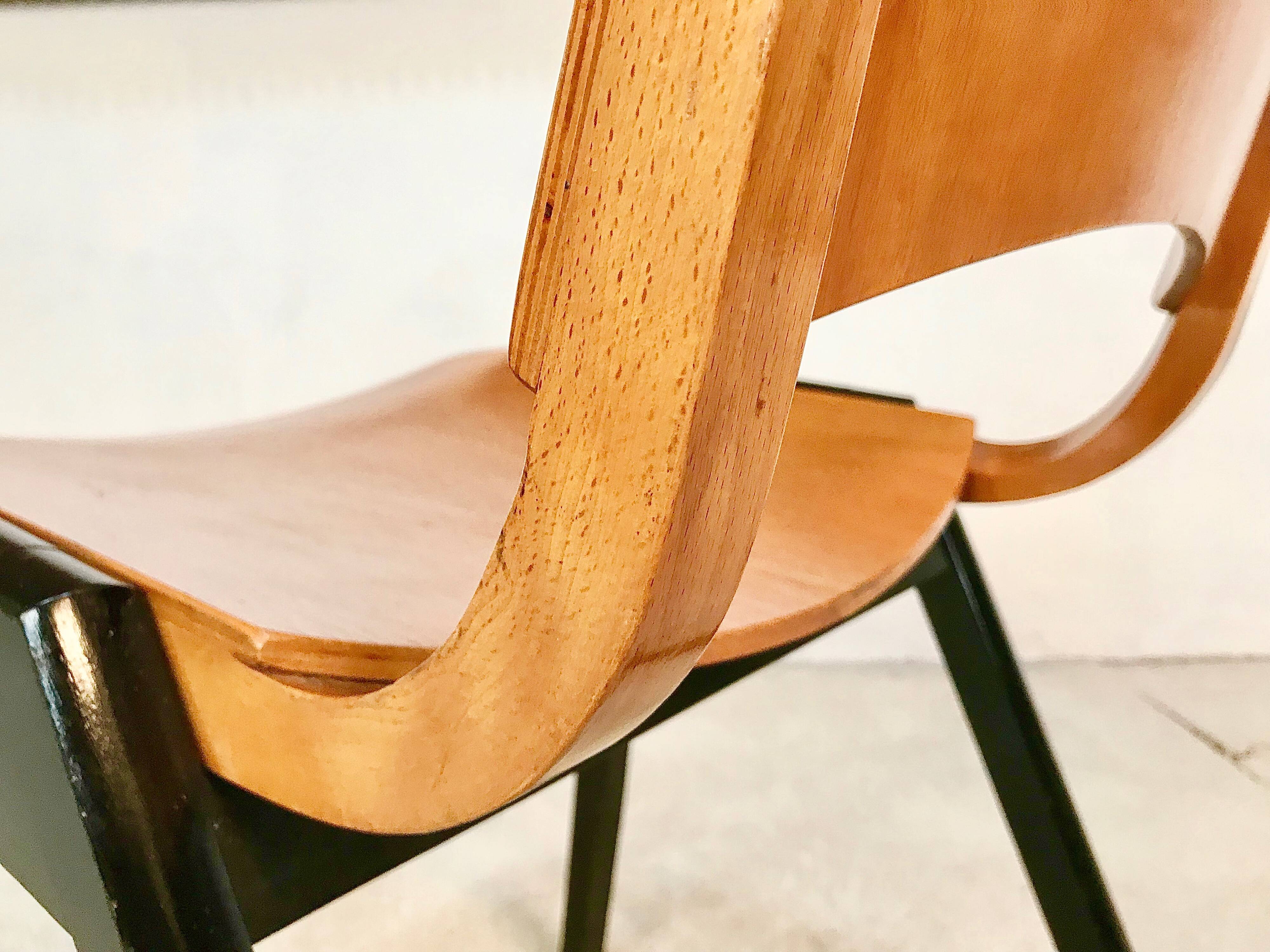 Set of 6 Dining Chairs P7 by Roland Rainer for E & A Pollack, Vienna 1952