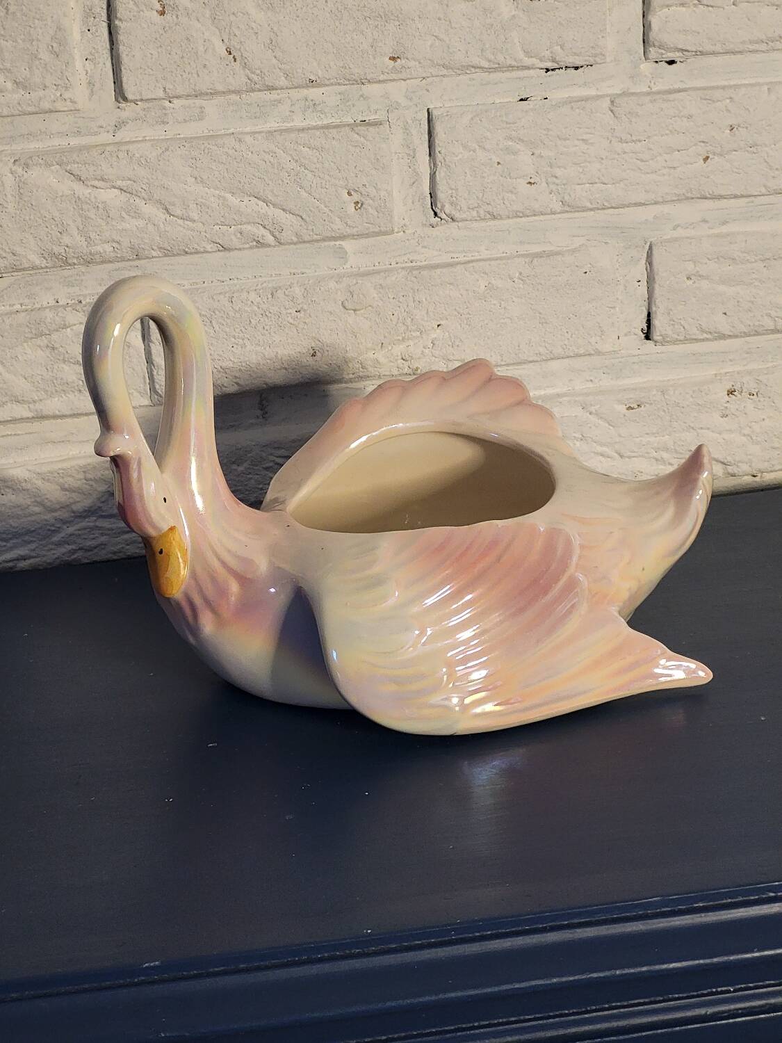 Swan plant pot