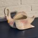 Swan plant pot