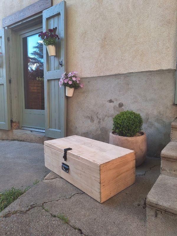 Old trunk box