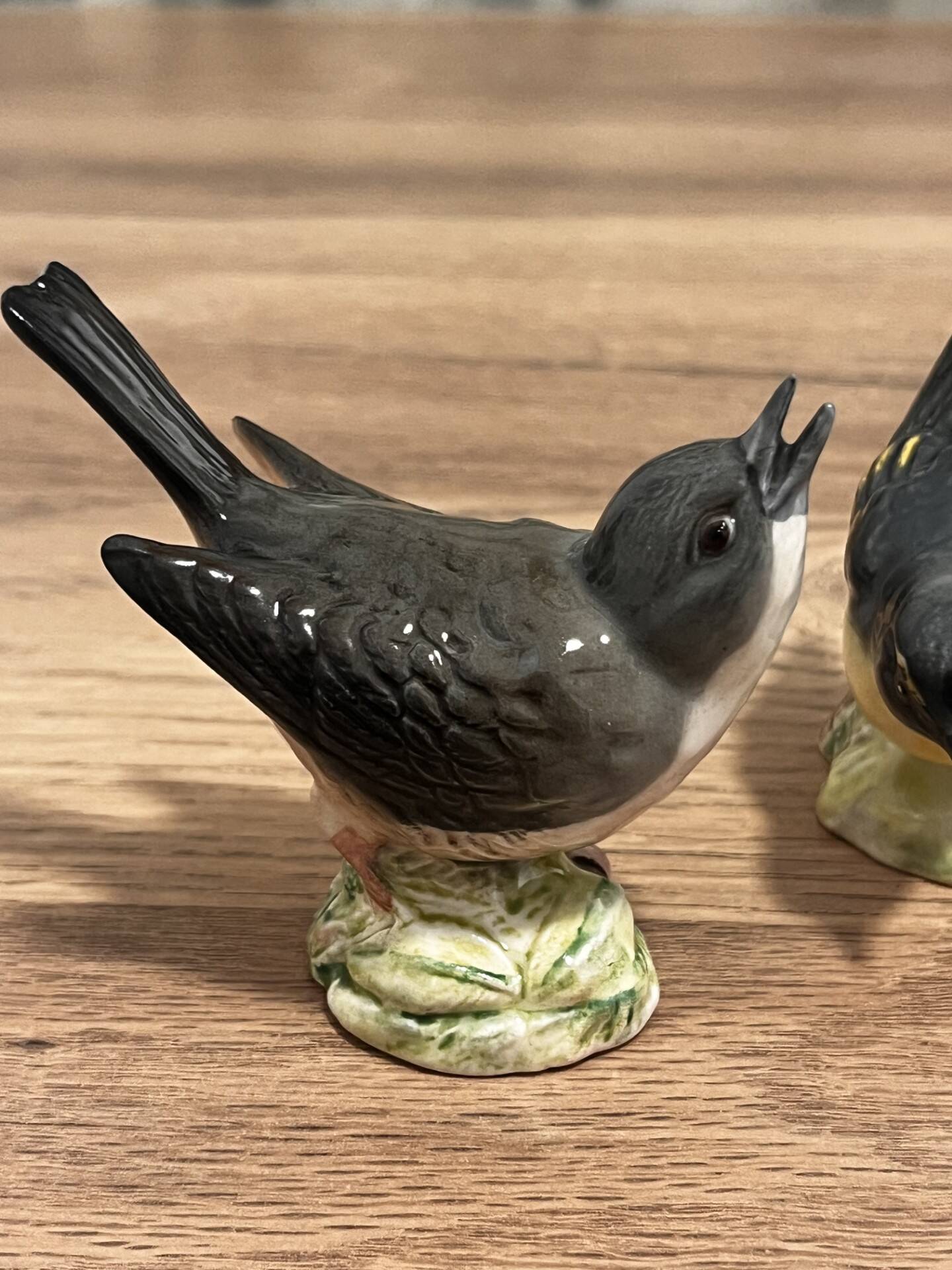 Oiseaux Beswick