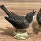 Oiseaux Beswick