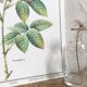 Botanical plank Rose de Provins