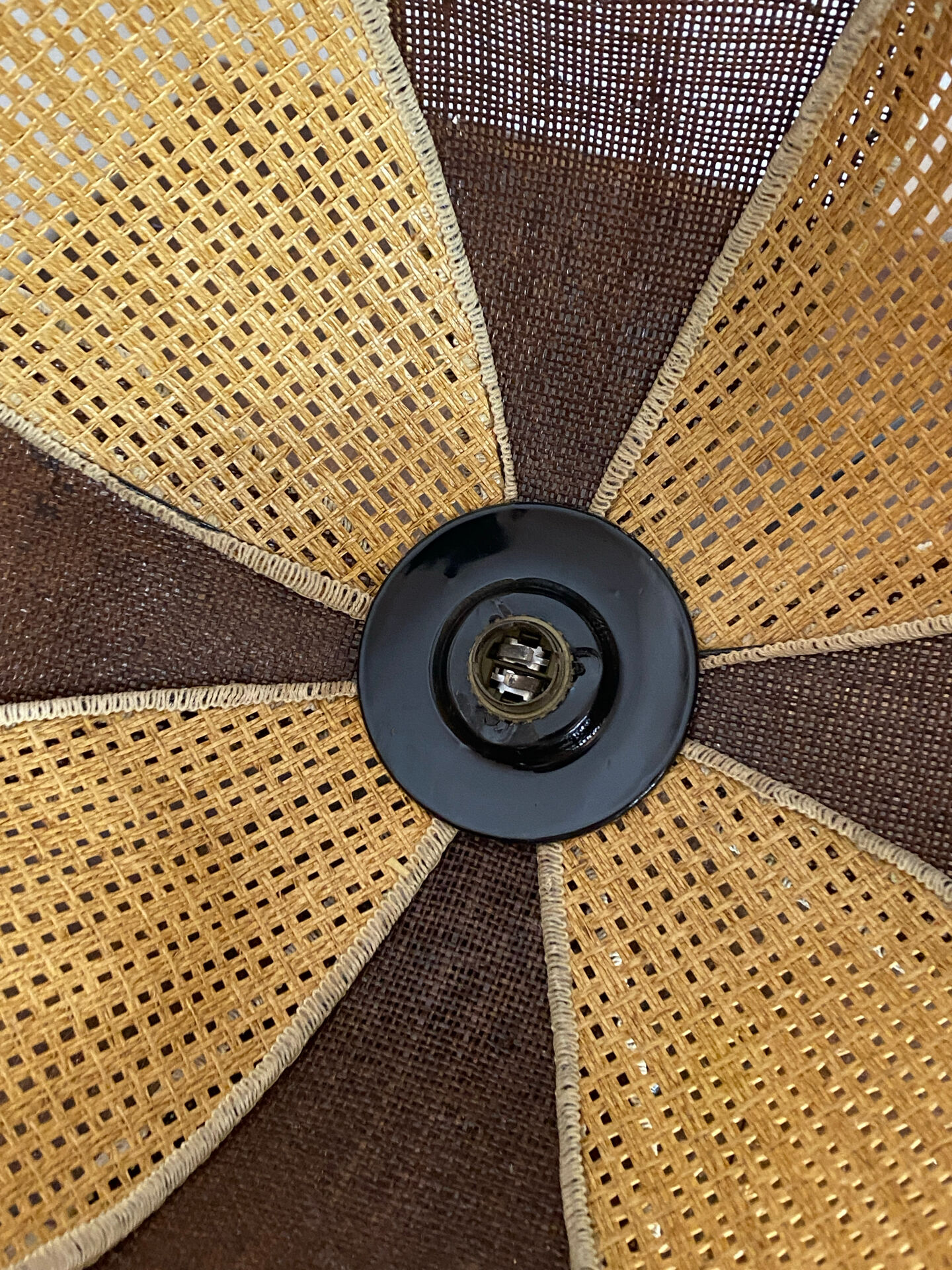 Organic rattan suspension
