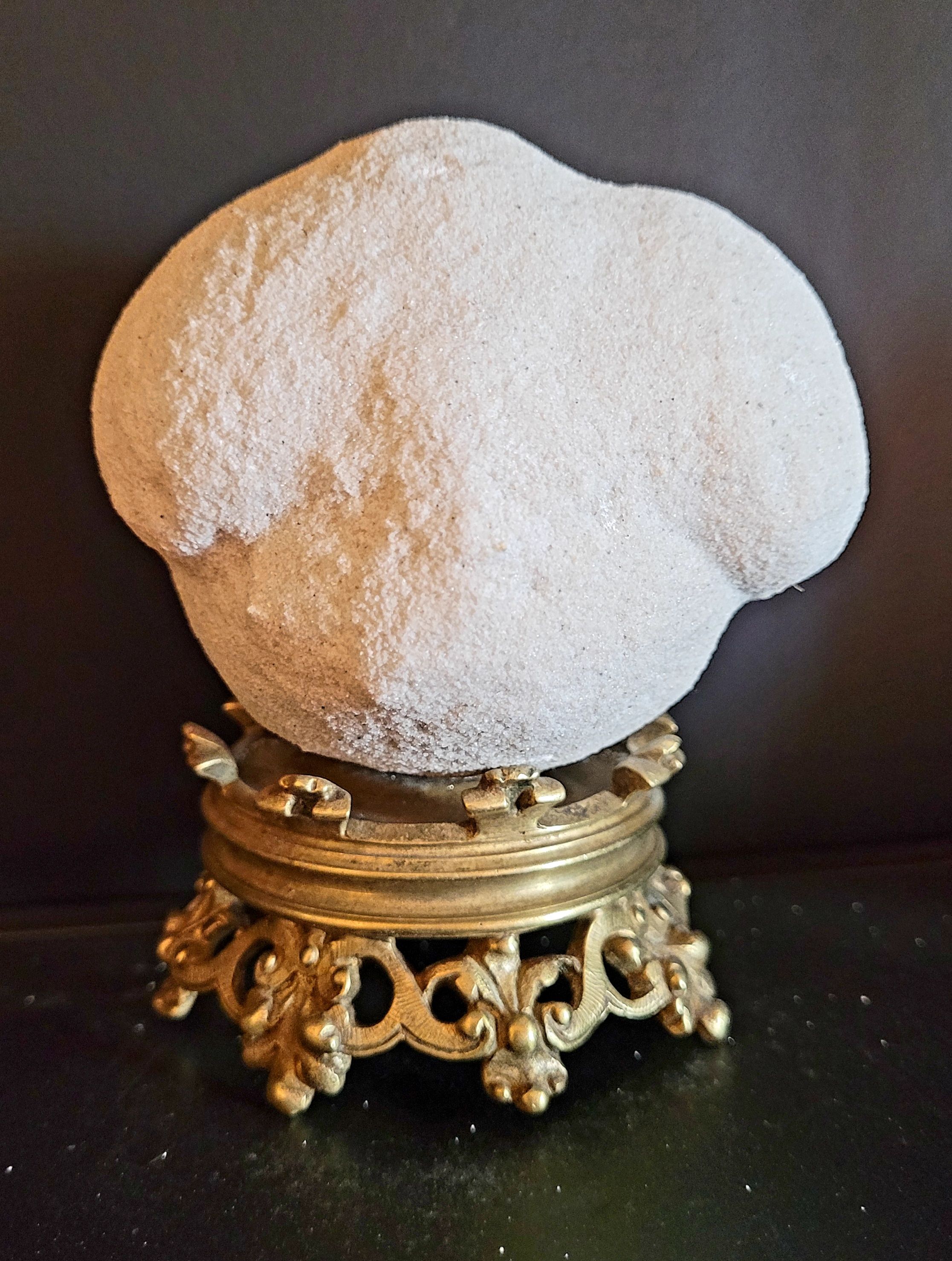Cabinet of curiosities Naturalia and Minerals Gogotte de Fontainebleau