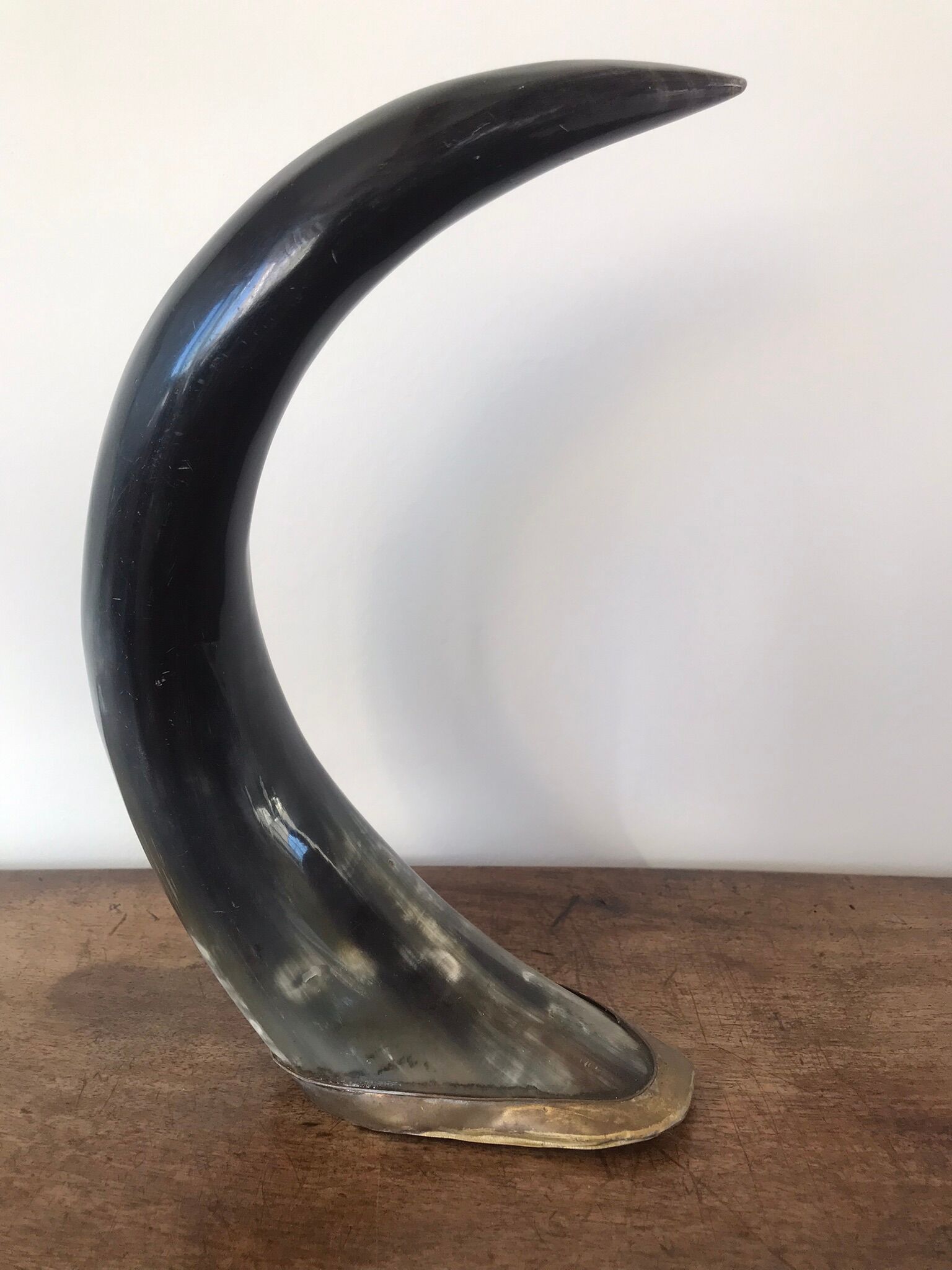 Polished beef horn on brass base