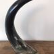 Polished beef horn on brass base