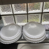 Shellfish plates