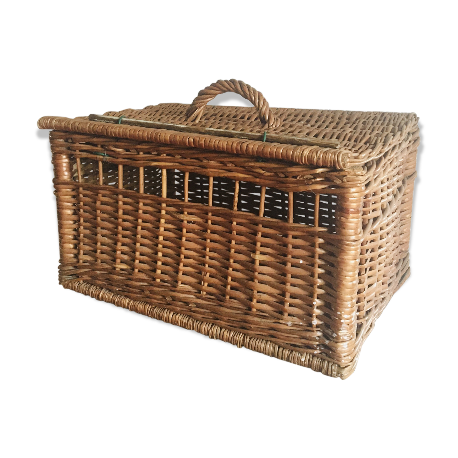 Wicker trunk