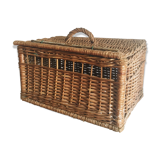 Wicker trunk