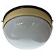 Midcentury Bakelite/Glass ceiling lamp/flush mount or wall lamp, 1960s