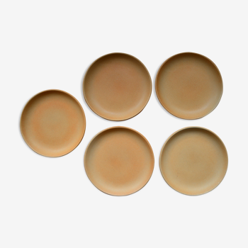 Lot de 5 grandes assiettes plates en grès