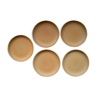 Lot of 5 large flat stoneware plates