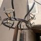 vintage parrot coat rack