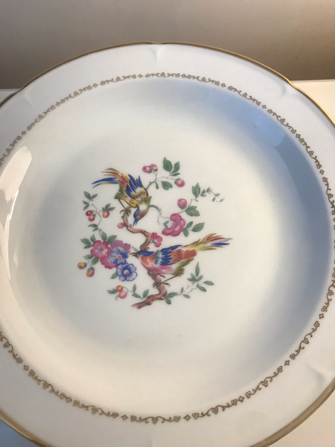 24 fine porcelain plates