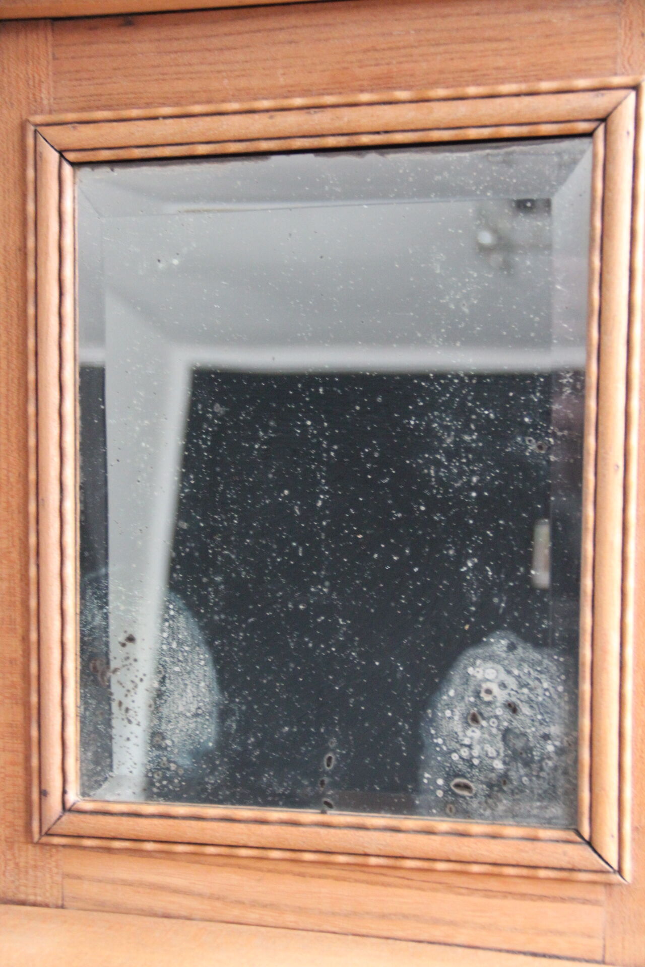 Toilet or pharmacy cabinet with old mirror
