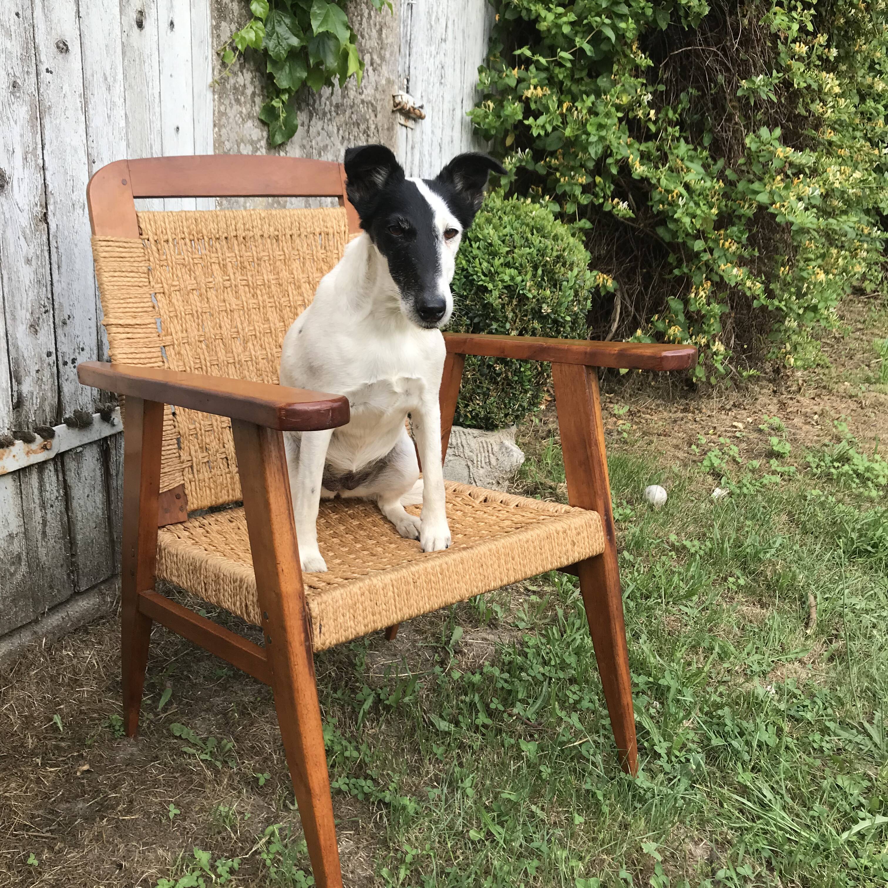Vintage armchair 1940 in mahogany and braided rope