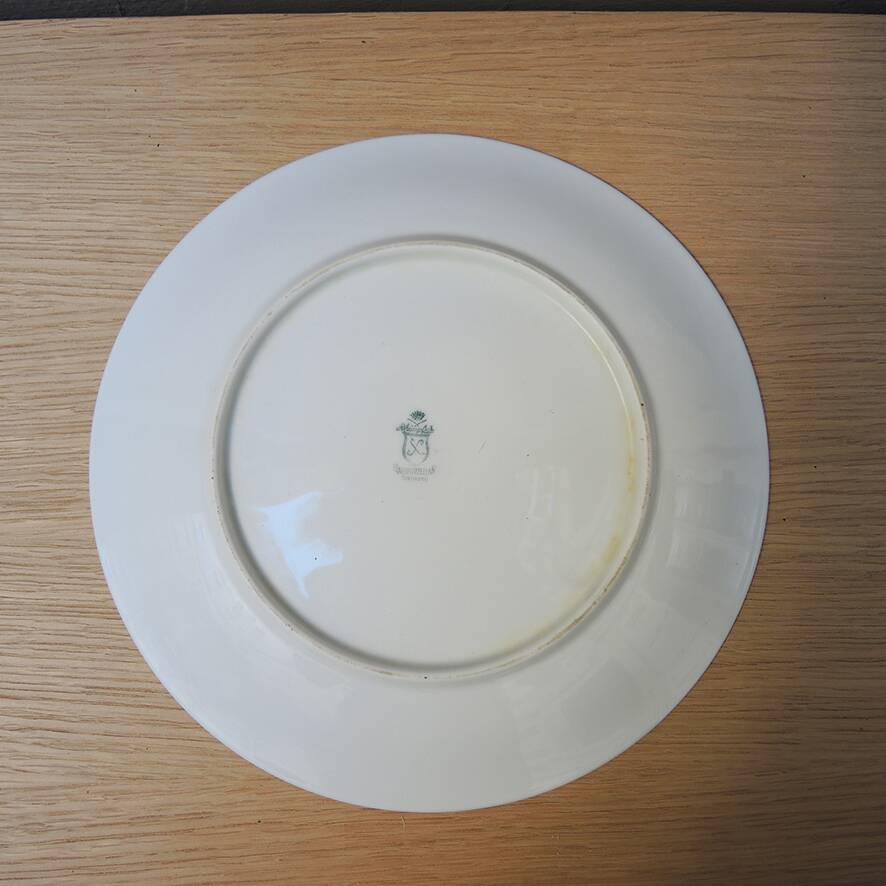 12 Antique Soup Plates - Rheinpfalz Hartporzellan Germany