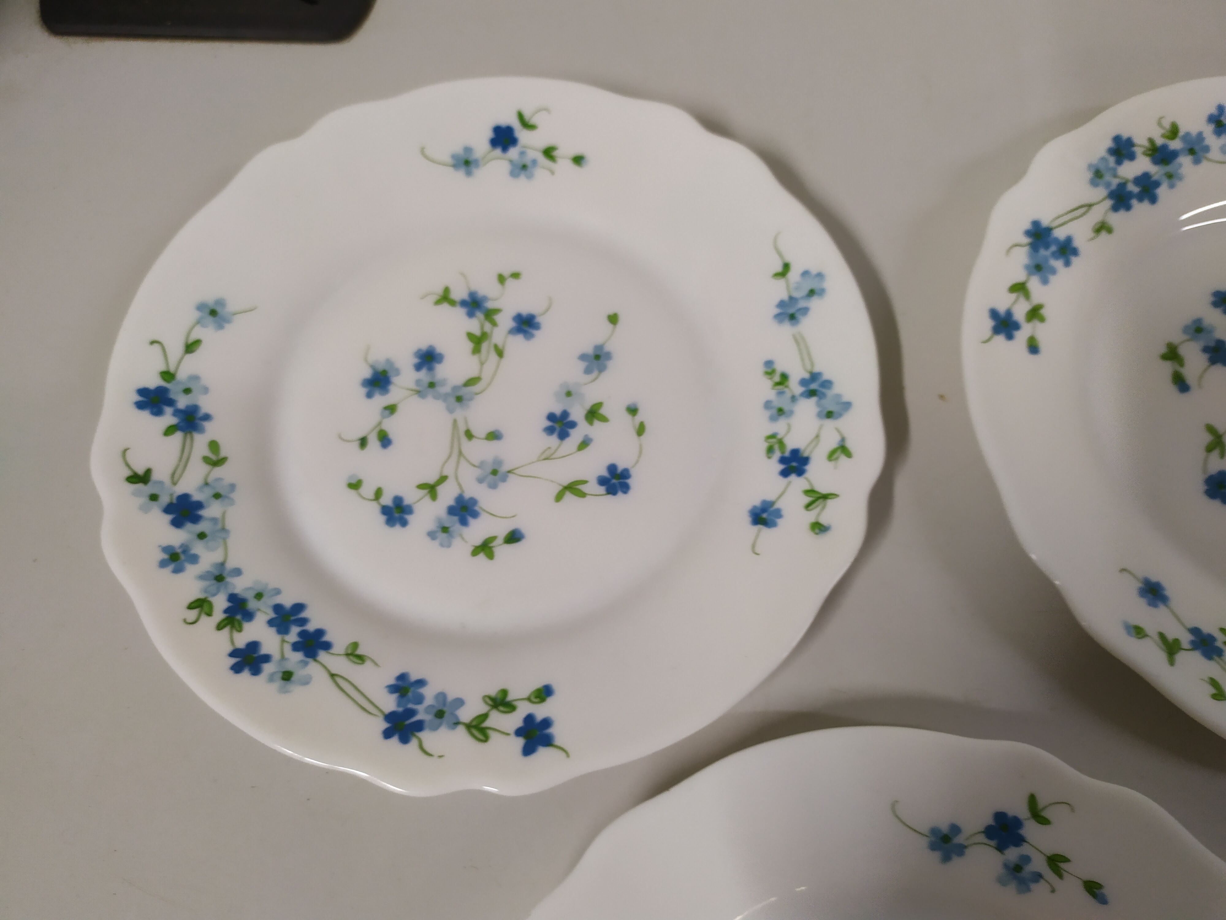 5 Desserts ARCOPAL Véronica Myosotis Vintage Blue Flower