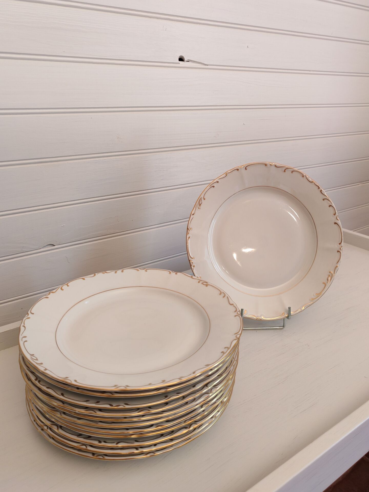 Bohemian porcelain plates