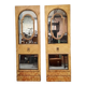 Pair of mirror panels