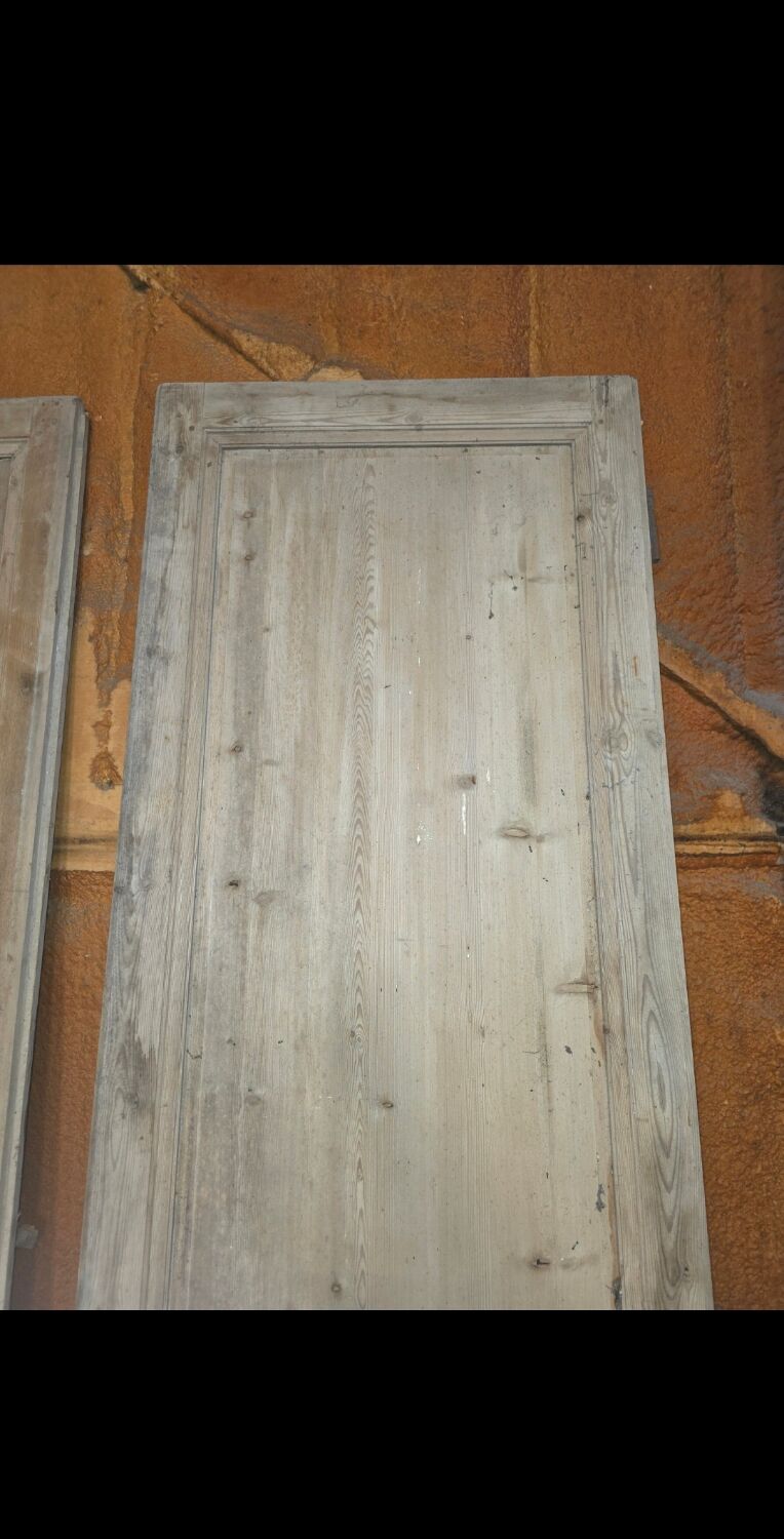 Pair of doors, 19th century