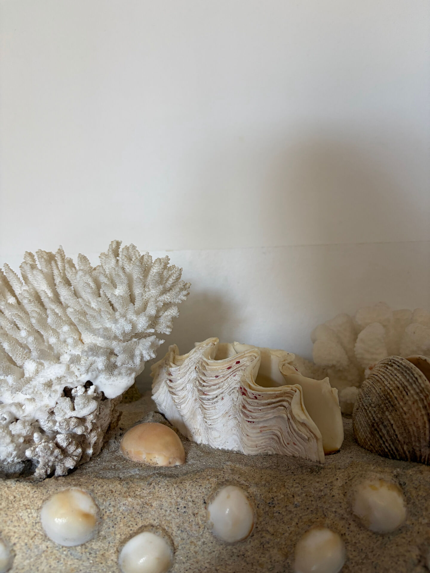 Marine composition