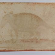Paire de reproductions du Codex Pomar d'Histoire Naturelle, Valence, 1990