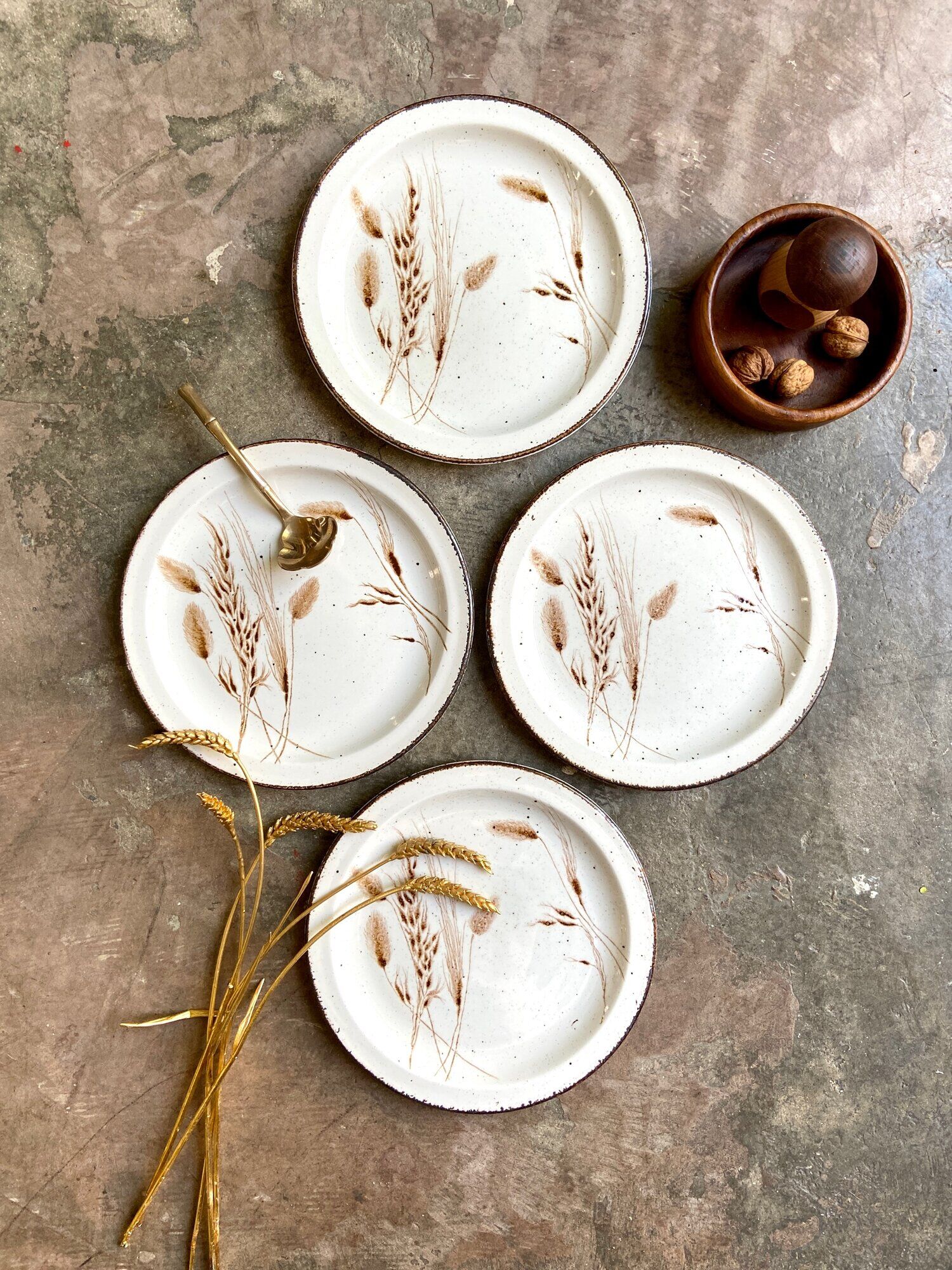 4 flat plates Midwinter in glazed stoneware, service "Wild oats"