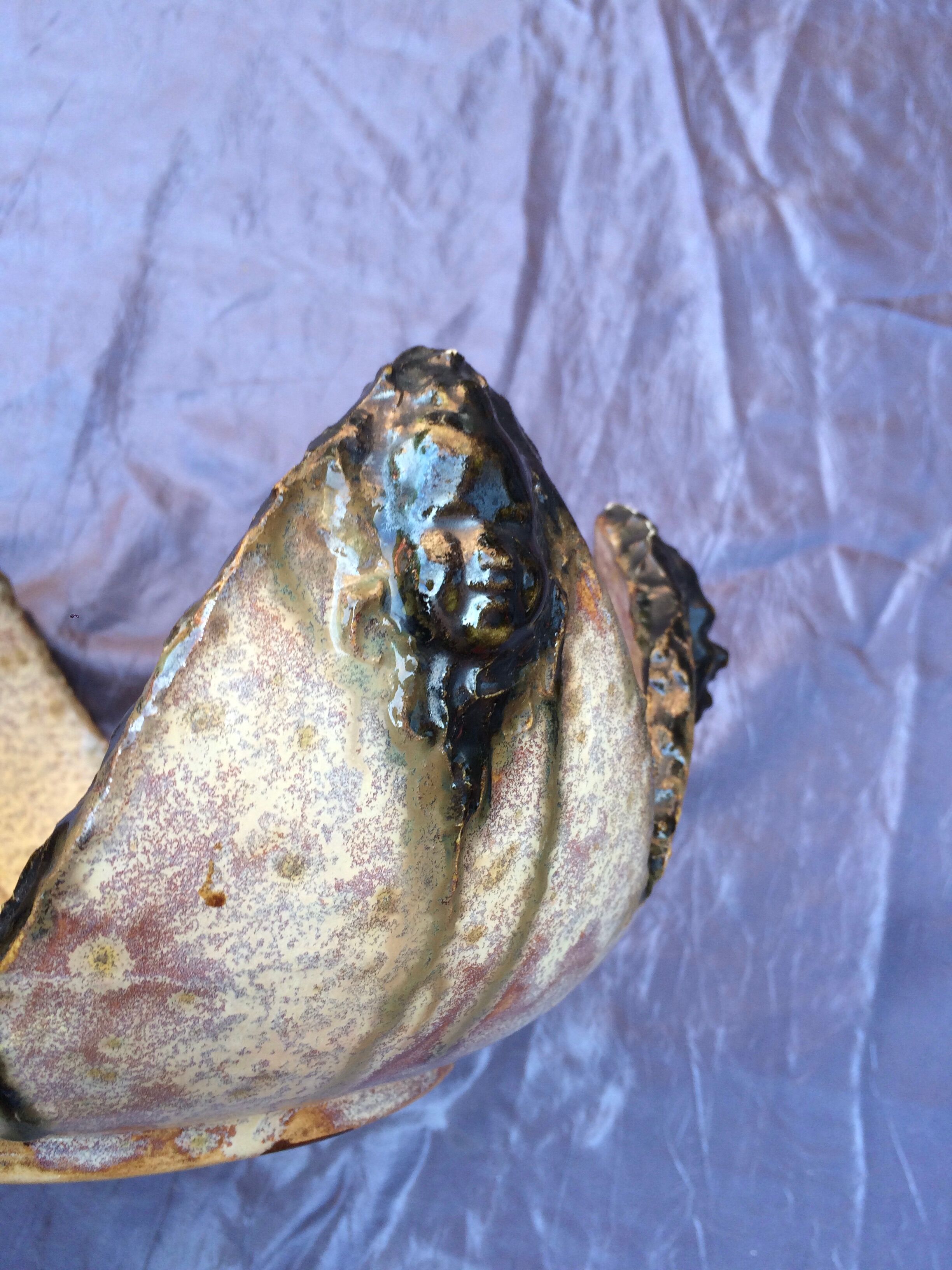 Sylvain Sttublet cup