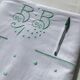 Drap 2 places brodé BB, pastilles, double jour échelle couleur vert clair