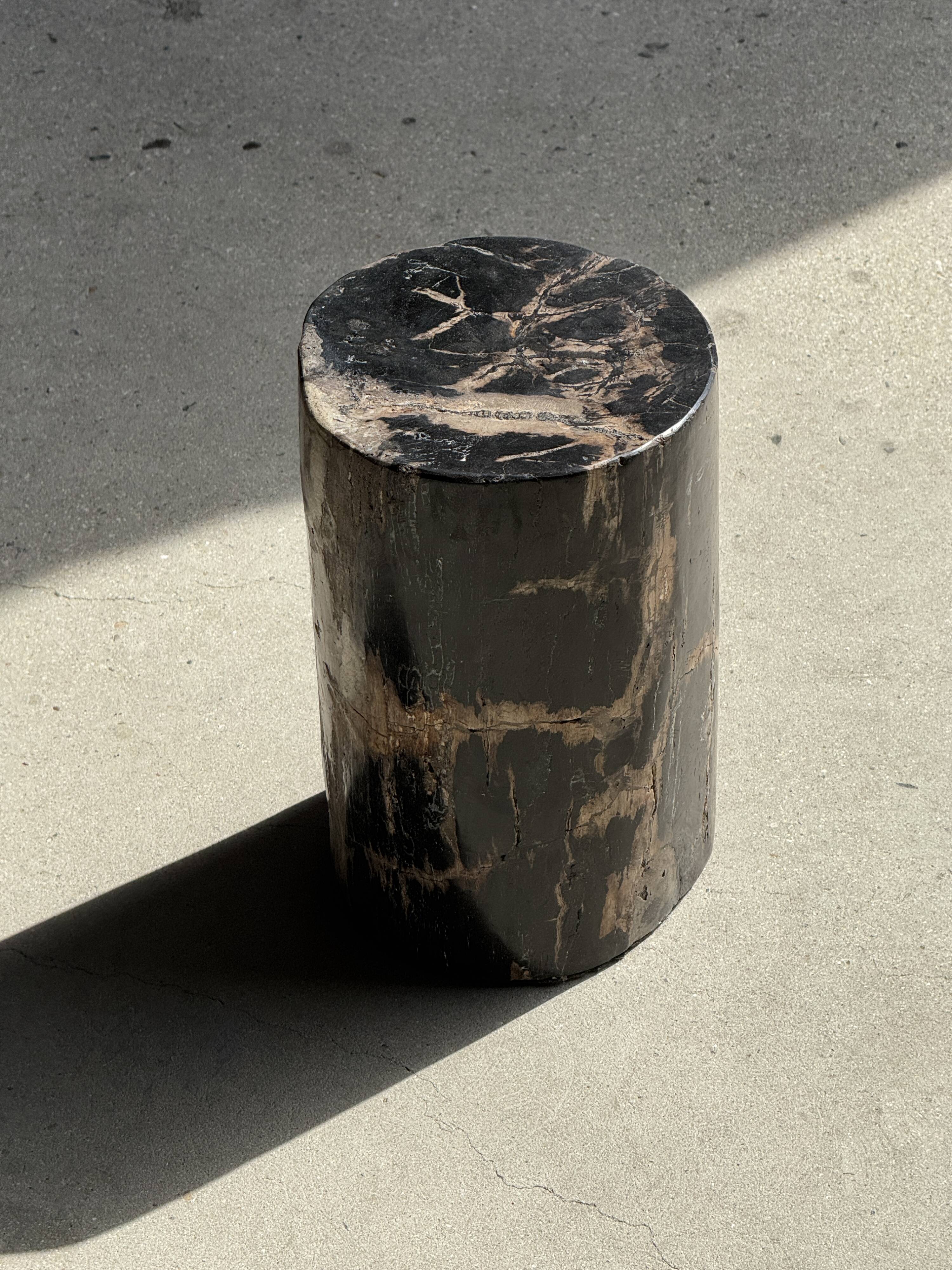 Table d'appoint en bois pétrifié noir
