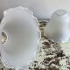 Old glass tulip globes