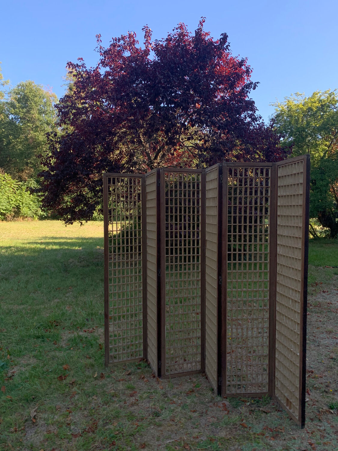 Joaquim Tenreiro rosewood Jockey screen