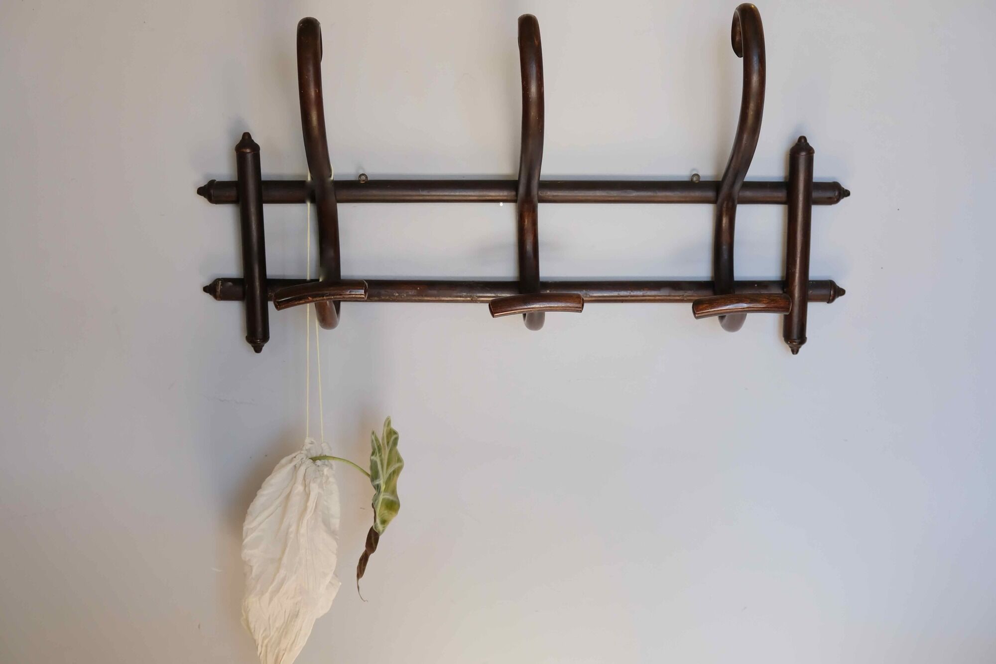 Peg of turned wood, signed manufacturing Fischel - end XIX