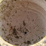 Tamgroute terracotta jar