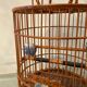 Ancienne cage à oiseaux en bois et rotin