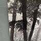 Silver gelatin photograph by Bernard Darot, backlit in the Bois de Boulogne, SNMF