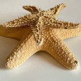 Vintage starfish