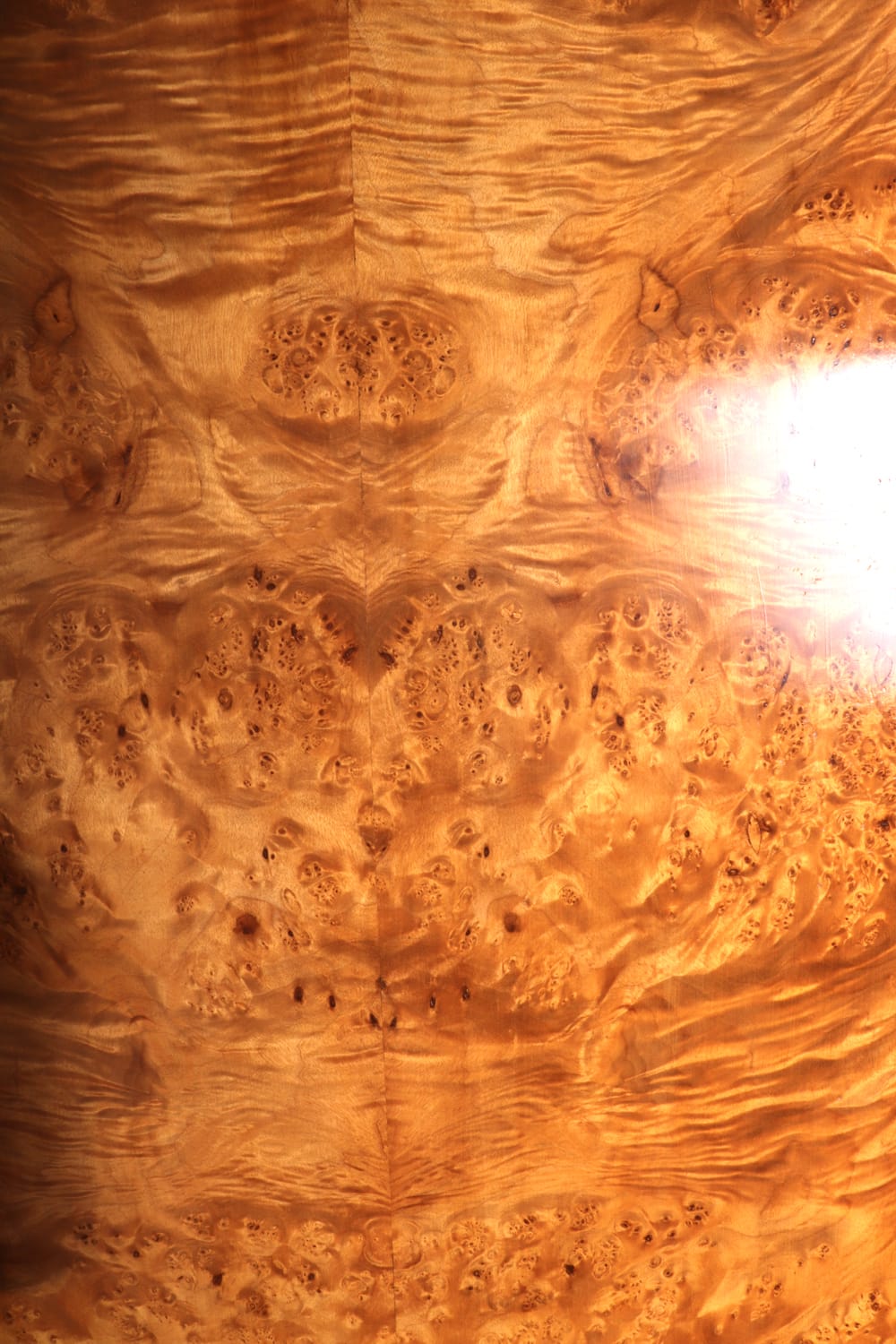 Art deco gentleman’s wardrobe in burr maple c1930