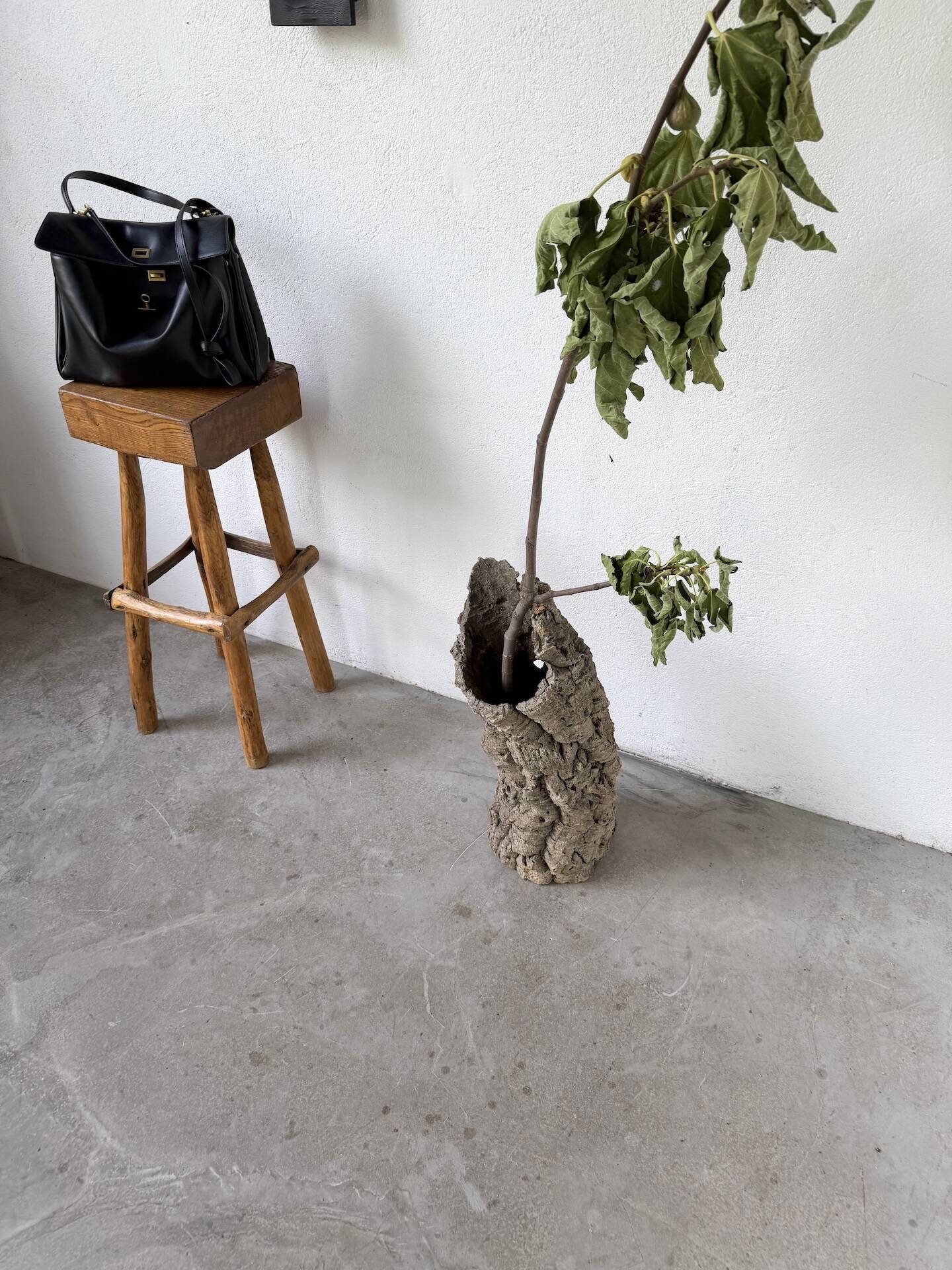 XL cork bark vase