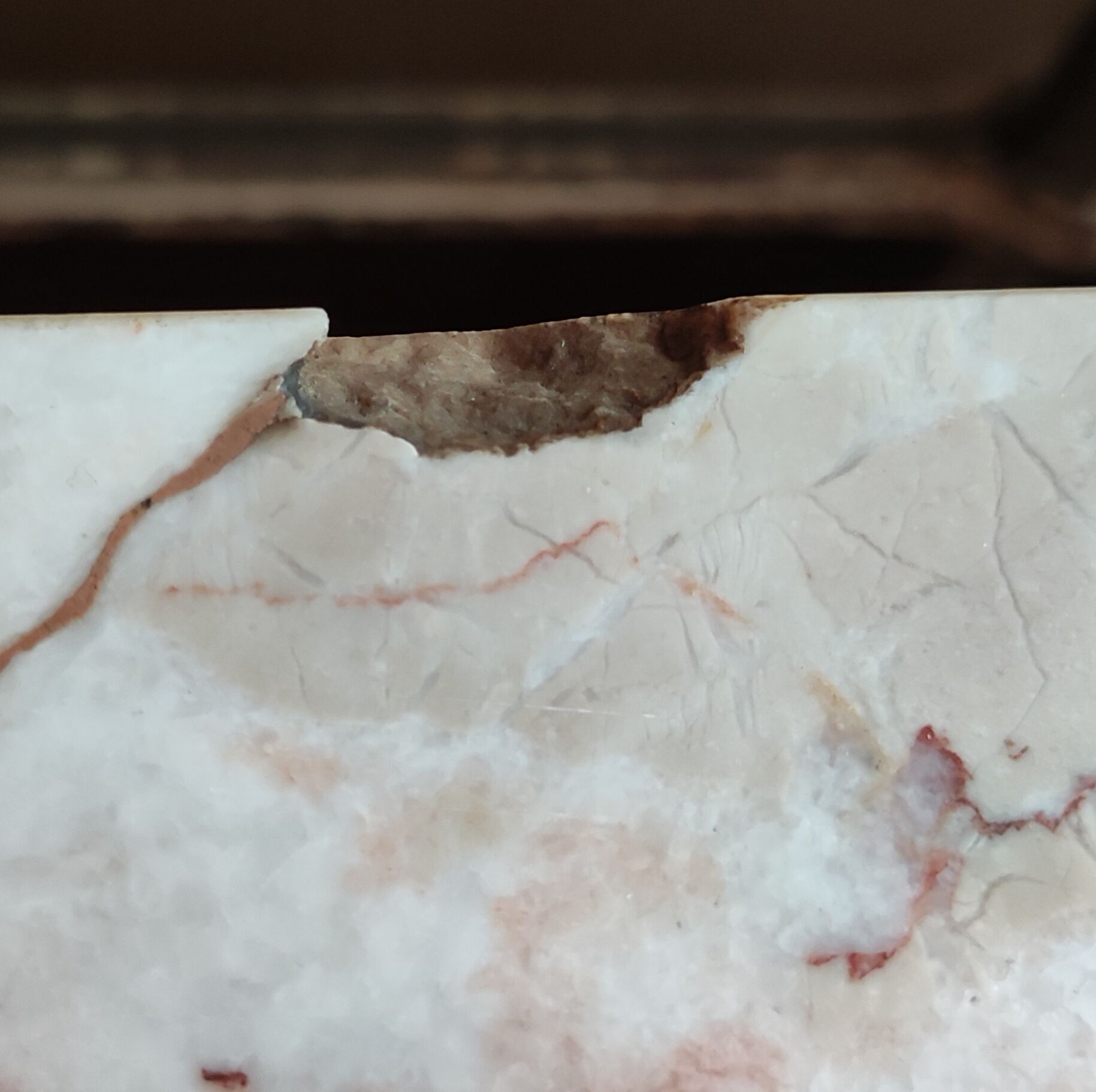 Showcase furniture 1950s