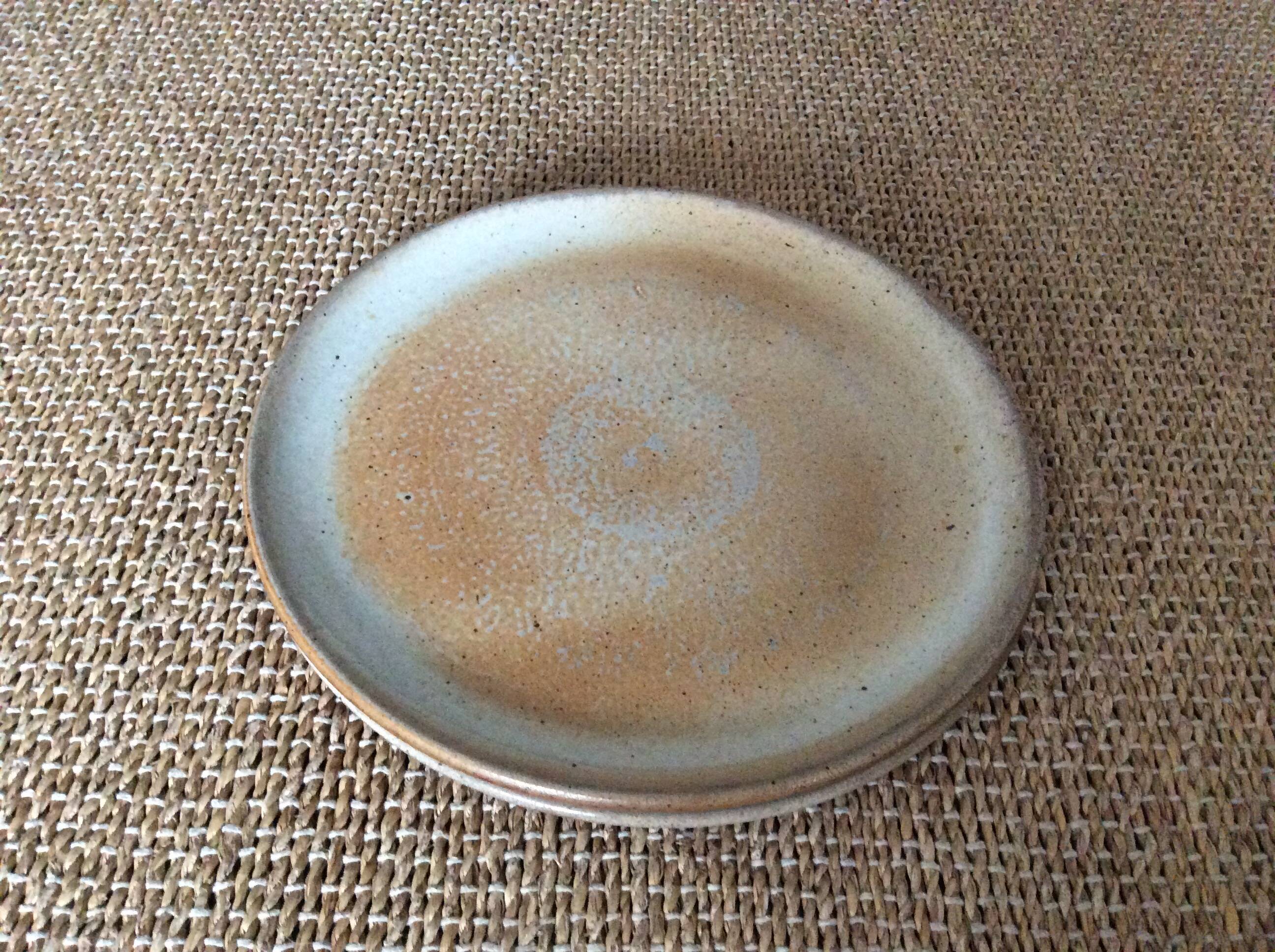 2 stoneware dinner plates