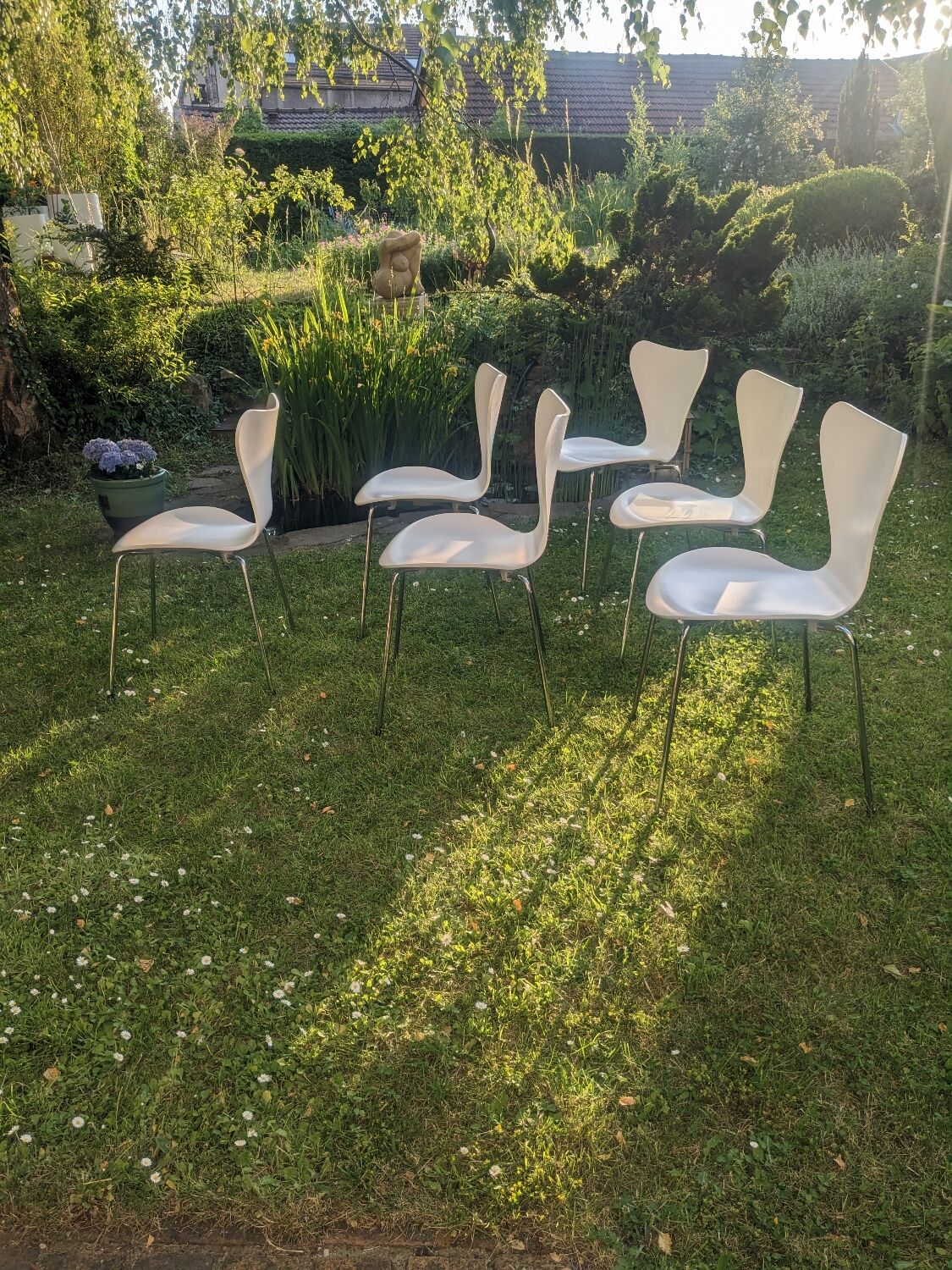 6 chaises série 7 d'Arne Jacobsen pour  Fritz Hansen