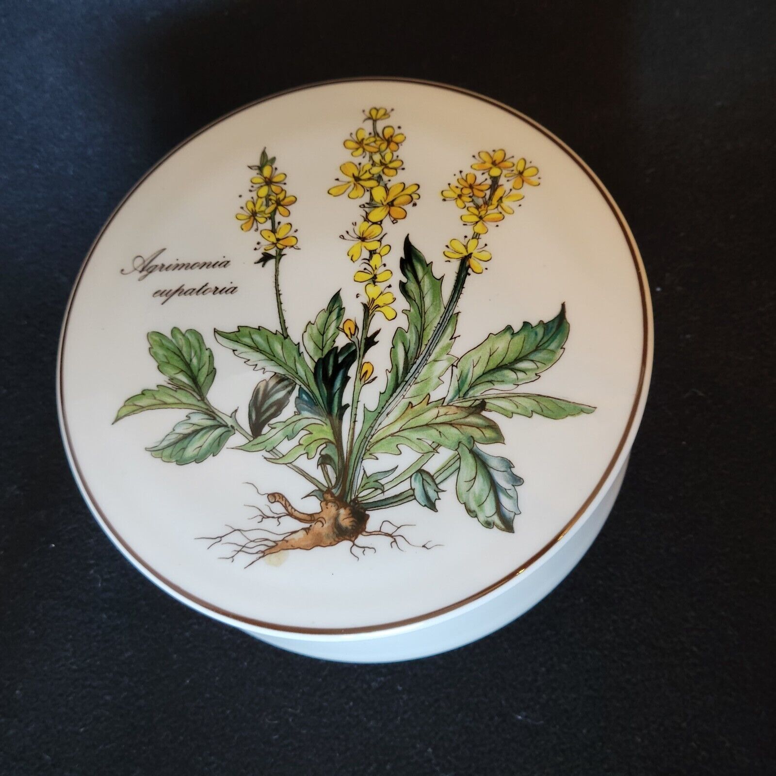 Round porcelain box Villeroy & Boch Botanica Agrimonia Eupatora collection