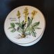 Round porcelain box Villeroy & Boch Botanica Agrimonia Eupatora collection