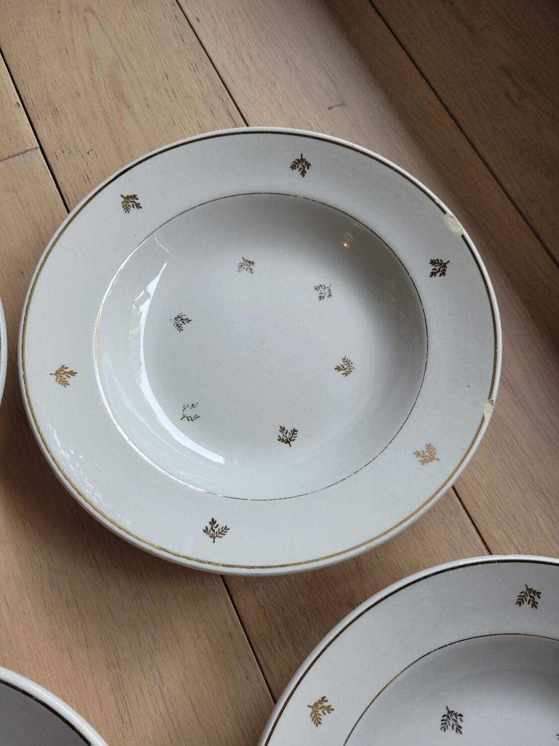 Lot de 16 assiettes creuses porcelaine opaque Badonviller