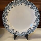 Flat Iron Earth "Velleda"